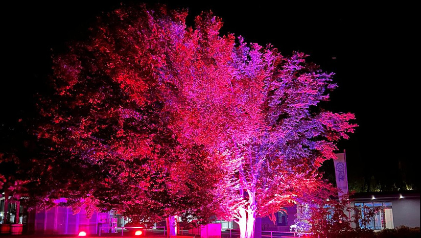 egapark Lichterfest